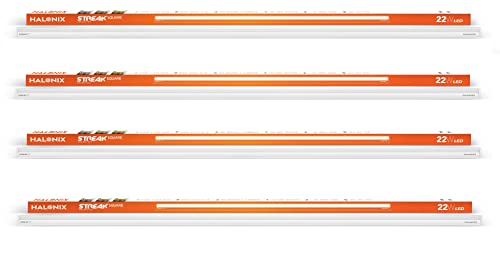 American Tourister Kamiliant Harrier 56 Cms Small Cabin Polypropylene (PP) Hard Sided 4 Wheeler Spinner Wheels Luggage (Coral Blue)