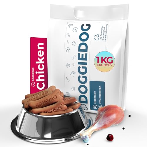 Set Wet Ice Perfume for Men, 100ml|Citrusy Long Lasting Perfume for Men|Gift for Men|Best Everyday Fragrance