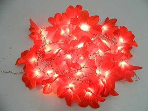 ZEBRONICS Zeb-Comfort Wired USB Mouse, 3-Button, 1000 DPI Optical Sensor, Plug & Play, for Windows/Mac, Black