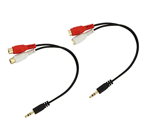 RENEE Crystal Lip Gloss Morganite 8ml | Lightweight & Glossy Non Sticky Formula | Keeps Lips Soft & Hydrated | Gives Lips Look Fuller & Plumper Look