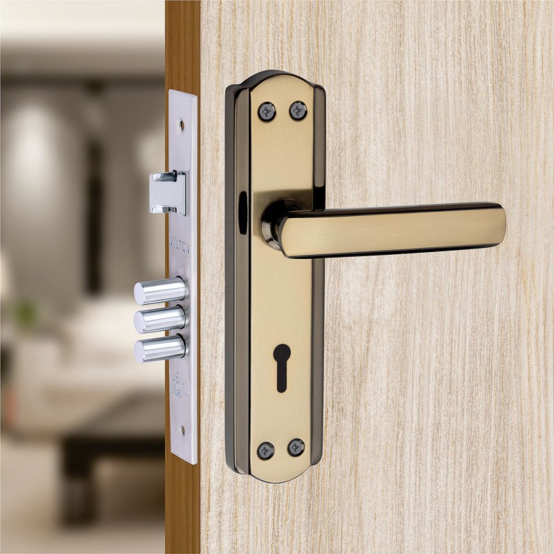 MILTON Iron Glossy Handlesets(Black, Gold)