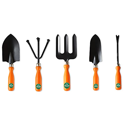 Panasonic 0.5 Watt Night Light Spherical LED Bulb Base B22 (Pink, Pack of 10)