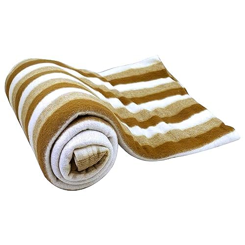 Park Avenue Pure Collection Trance Fragrance Body Spray for Men, 135ml (Pack of 2)