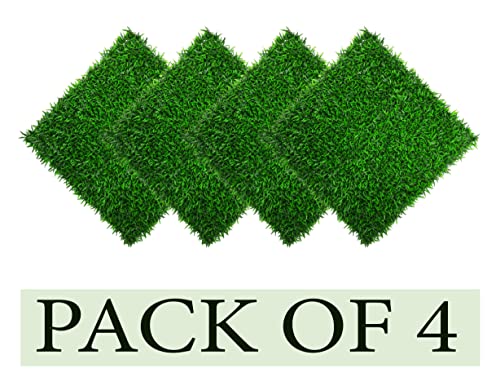 ThriveCo Rosemary Shampoo + Rosemary Conditioner For Voluminous Hair | Densifying & Stimulating Hair Growth | Promotes Hair Strength With Hyaplex™, Pea Peptide & Caffeine for Men & Women | 250ml