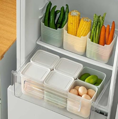 Aristocrat Polyester Hard 50 Cms Luggage- Suitcase Travel Duffle (Dfroo52Etbl_Teal Blue)