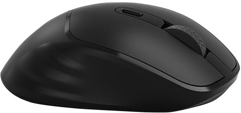 HP M120 /6 programm. buttons,1 AA battery gives upto 12 months life,upto 1600 DPI Wireless Ambidextrous Mechanical Mouse(2.4GHz Wireless, Black)