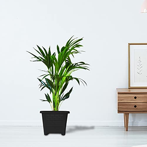 Streax Invisible Matte Gel Sunscreen SPF 50 PA+++, 50g