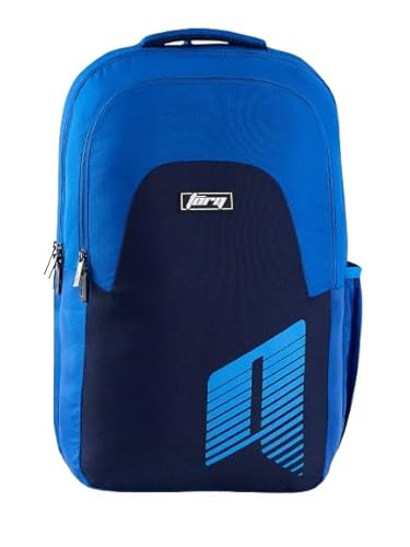 Amazon Brand – Solimo Champagne Glass Set, 220ml, Set of 6, Transparent