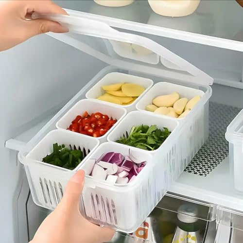 MollisHomes 6 Compartments Container for Kitchen Storage Set -Multi Fridge Storage Boxes, Ideal fridge storage boxes for vegetables Durable Kitchen Containers Set for Organized Fridge Storage