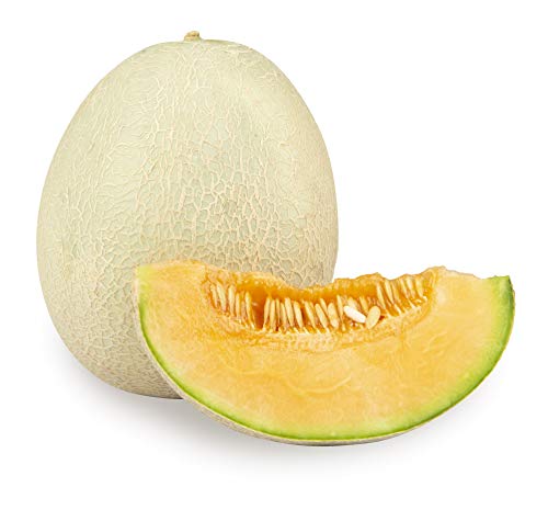 Fresh Muskmelon 1 Piece, (500 – 900 g)