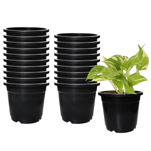 Amazon Brand – Solimo 100% Virgin Plastic Round Nursery Planter Pot | Indoor and Outdoor Flower Pot for Home/Office/Table/Garden/Balcony Decoration | 6 inch, Set of 20 | Black
